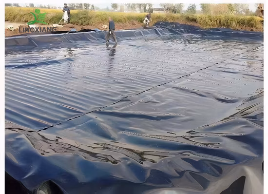 2.0mm